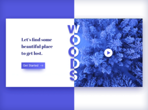 Split-screen website layout