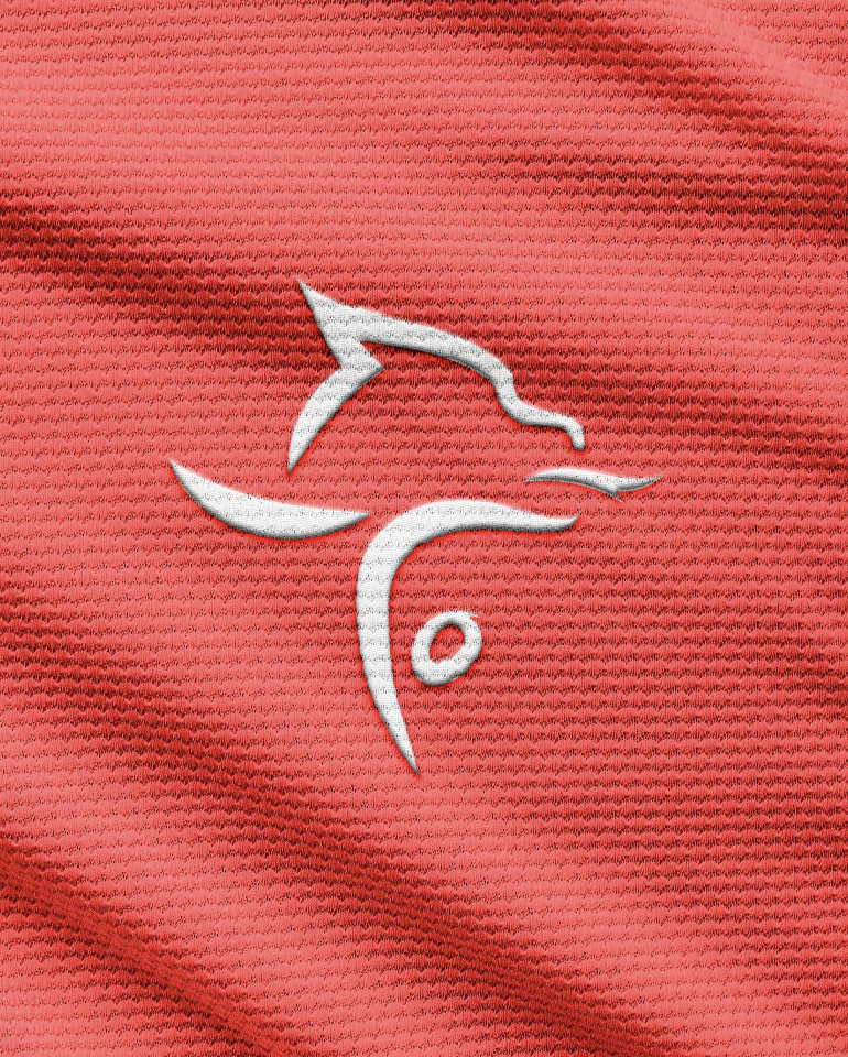Welsh Gymnastics logo