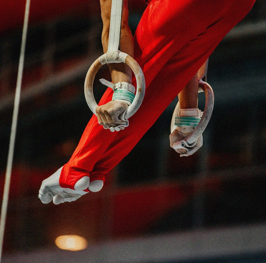 Gymnast Rings