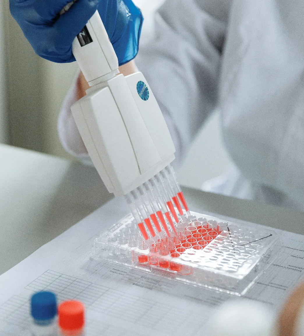 A lab technician uses a multi-channel pipette to transfer liquid samples into a 96-well plate, preparing for an experiment.