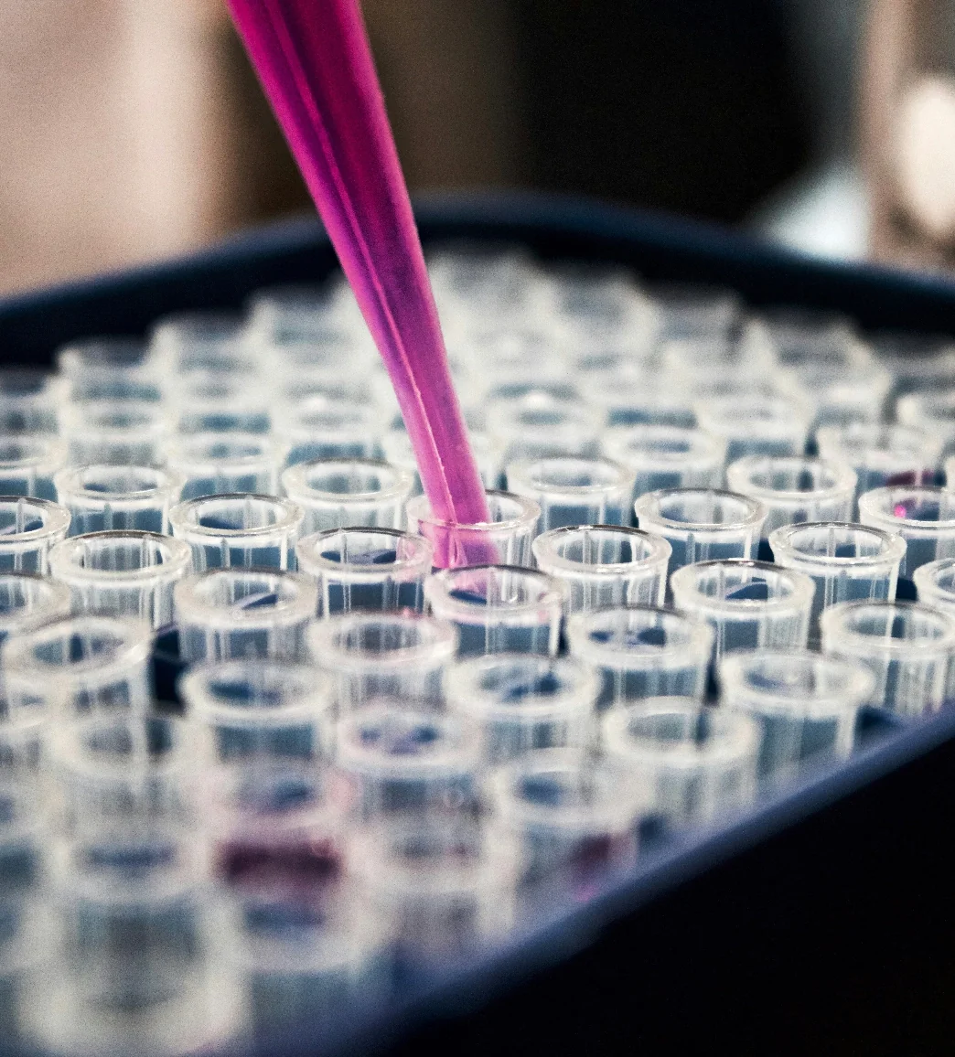 A pipette dispenses pink liquid into one of many small, clear test tubes arranged in a grid.